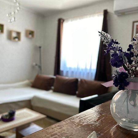 Levendula Vendeghaz Villa Balatonföldvár Екстериор снимка
