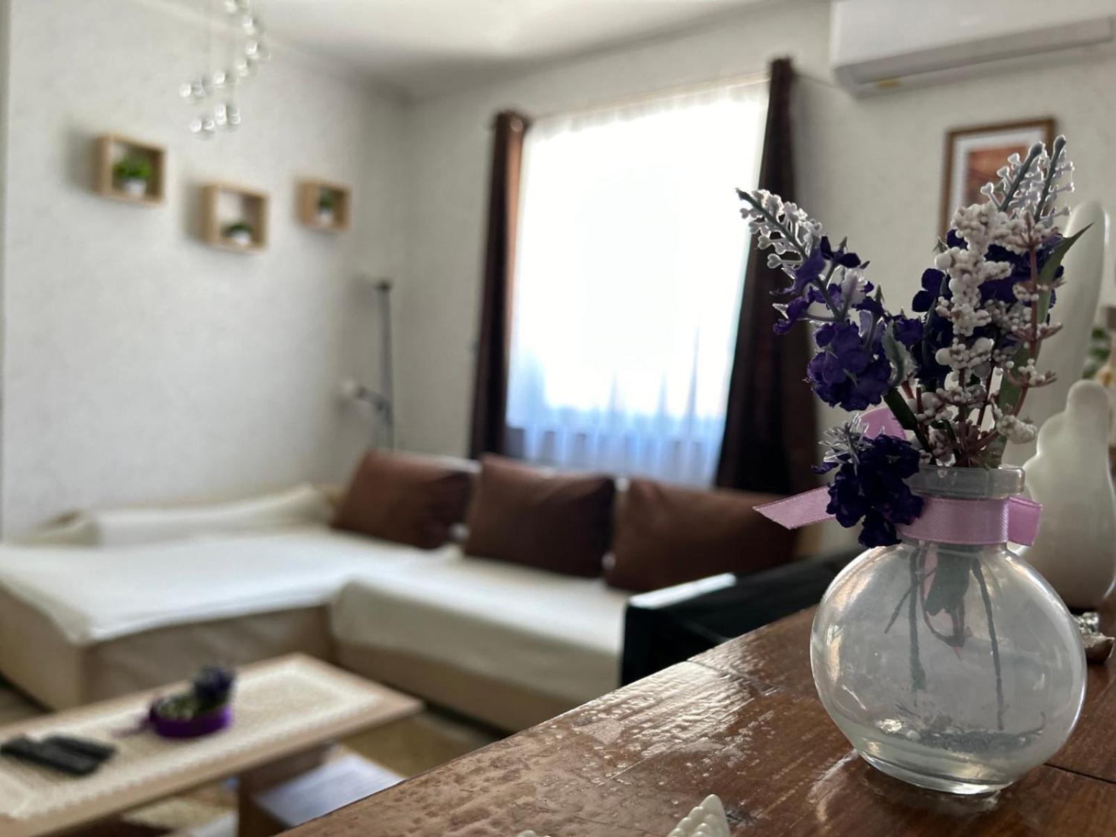 Levendula Vendeghaz Villa Balatonföldvár Екстериор снимка